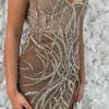 The Gabi Nude Sheer Dress - Image 4