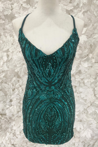 The Dani Tracy Dress